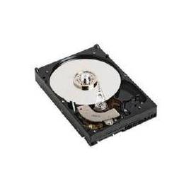 HDD INTERNO 3.5" DELL 400-BJPG DE 1TB