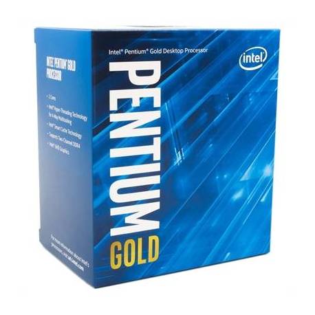 MICRO INTEL GOLD LGA1700 12ª GENERACION