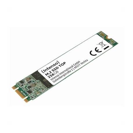 SSD INTERNO INTENSO M2 DE 256GB