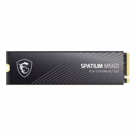 DISCO DURO INTERNO SOLIDO SSD MSI