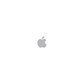 ORDENADOR APPLE MAC MINI SILVER M4