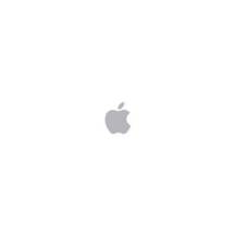 ORDENADOR APPLE MAC MINI SILVER M4
