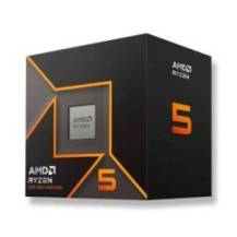 AMD RYZEN 5 9600 3.8GHZ AM5